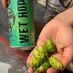 wet hop beer