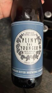 pliny younger