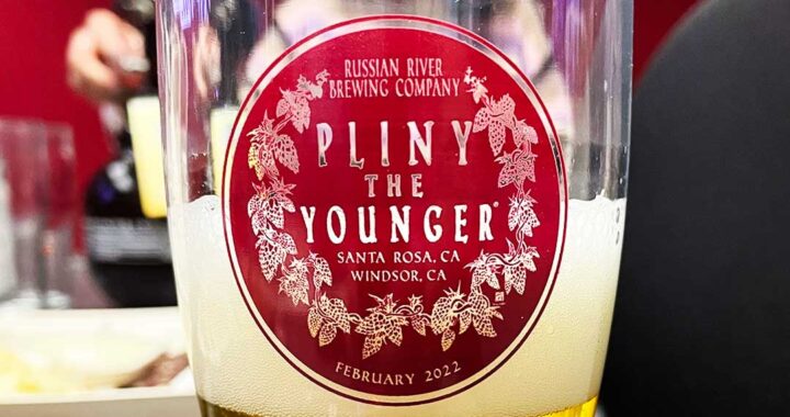 pliny the younger 2023