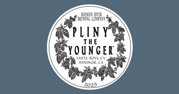 pliny the younger 2025